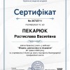 Certificate 2